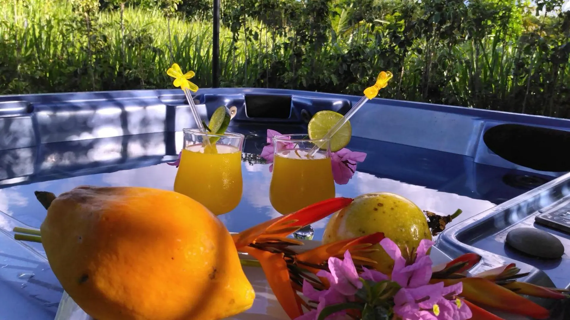 Le Puits D'Or1 Villa Petit-Canal 0*,  Guadeloupe